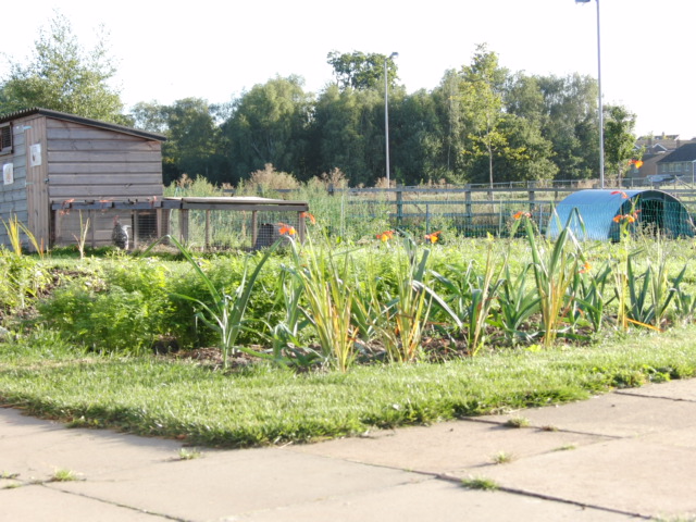 Farm Garden